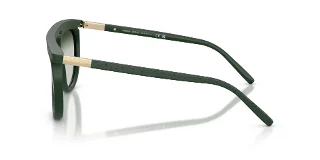 Giorgio Armani Sunglasses AR8262