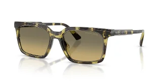 4029L0 Olive Tortoise