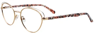 Easyclip Eyeglasses EC501