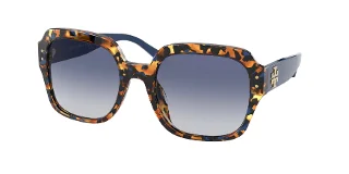 18814L Blue Amber Tortoise