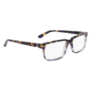 Dragon Eyeglasses DR7008