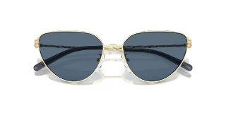 Tory Burch Sunglasses TY6110