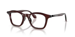 Giorgio Armani Sunglasses AR8257