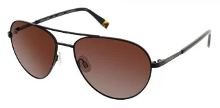 Steve Madden Sunglasses ECLECTIK