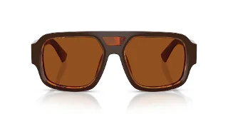 Dolce & Gabbana Sunglasses DG4516