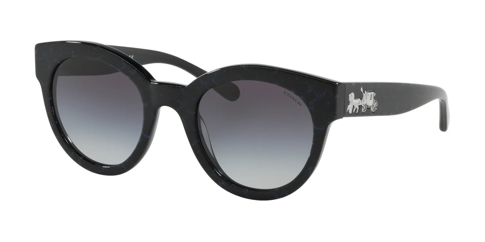 Coach Sunglasses HC8265