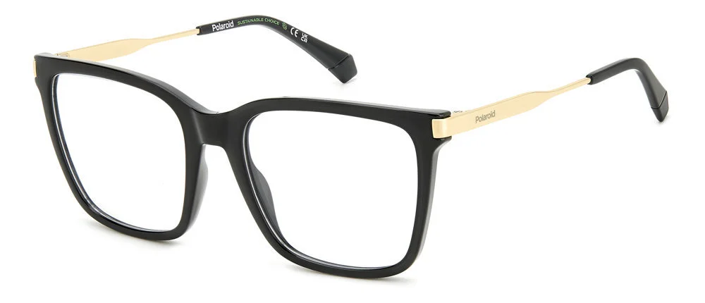 Polaroid Eyeglasses PLD D528