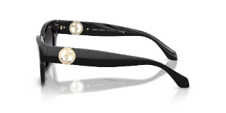 Giorgio Armani Sunglasses AR8246U