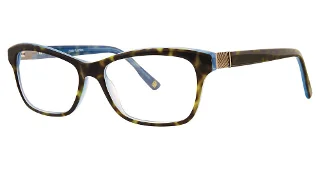 024 Tortoise
