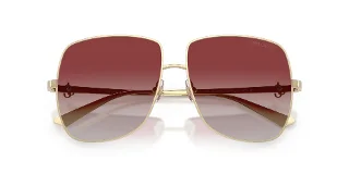 Jimmy Choo Sunglasses JC4030B