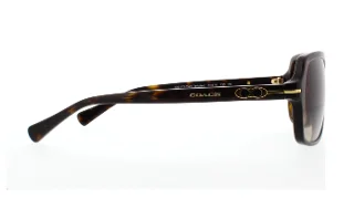 Coach Sunglasses HC8116 L087 Blair