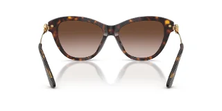 Dolce & Gabbana Sunglasses DG4534