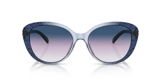 Coach Sunglasses HC8348U