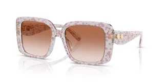 595313 Transparent Pink Floral Print