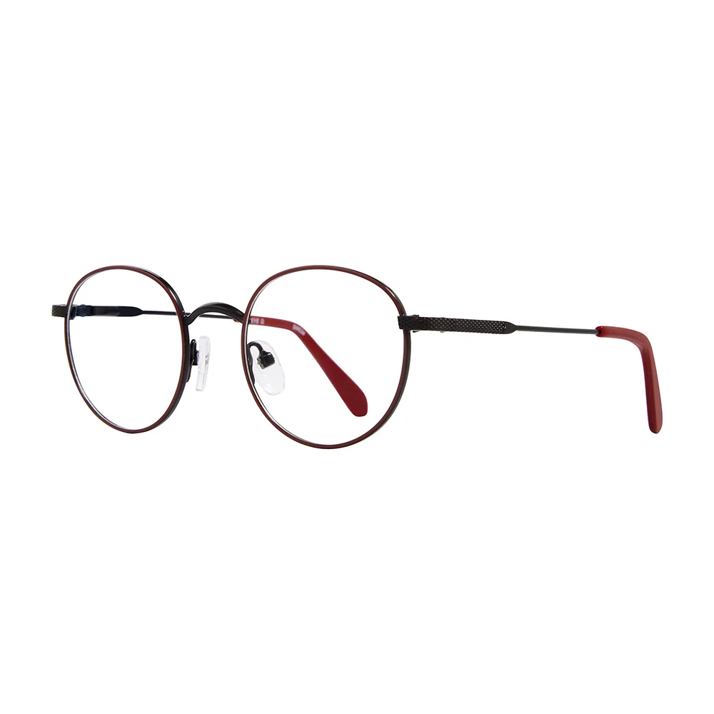 Stylewise Eyeglasses SW534