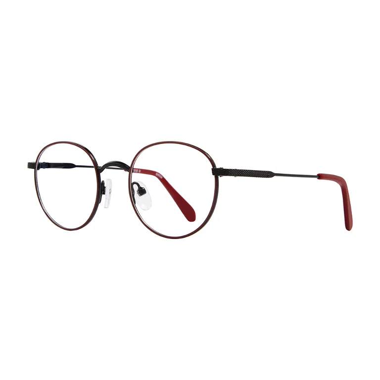 Stylewise Eyeglasses SW534