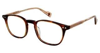 C01 Brown Horn
