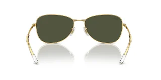 Ray Ban Sunglasses RB3733