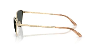 Ralph Lauren Sunglasses RL7093