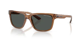 835887 Shiny Transparent Brown
