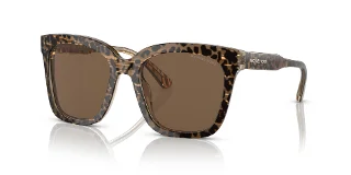 391773 Brown Leopard