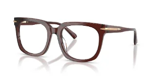3401 Brown Transparent