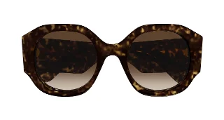 Chloe Sunglasses CH0234S