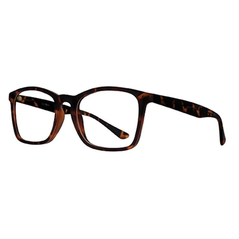 Equinox Eyeglasses EQ317