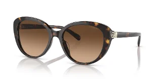512074 Dark Tortoise