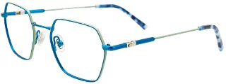 050 Blue & Lime/Blue Tort