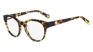 284 Blue Tokyo Tortoise