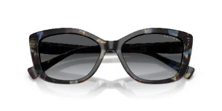 Ralph Sunglasses RA5358U