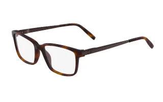 215 Tortoise