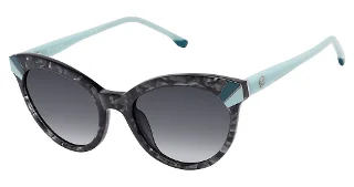 C03 BLACK TORTOISE