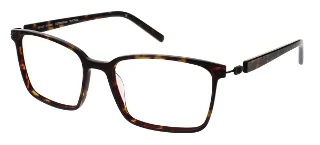 Tortoise