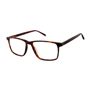 Aristar Eyeglasses 18663