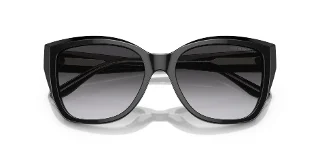 Emporio Armani Sunglasses EA4198