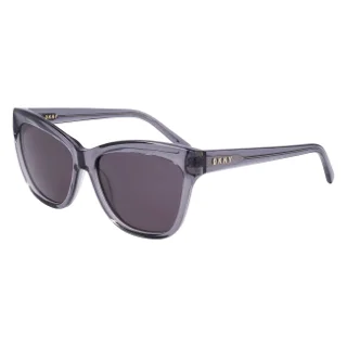 Dkny Sunglasses DK543S