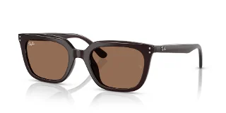Ray Ban Sunglasses RB4439D