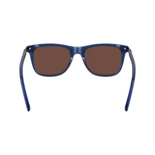 Salvatore Ferragamo Sunglasses SF2028S