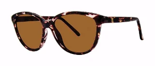 brown tortoise