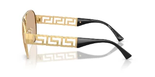 Versace Sunglasses VE2289