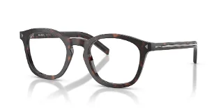 17N1O1 Root Tortoise