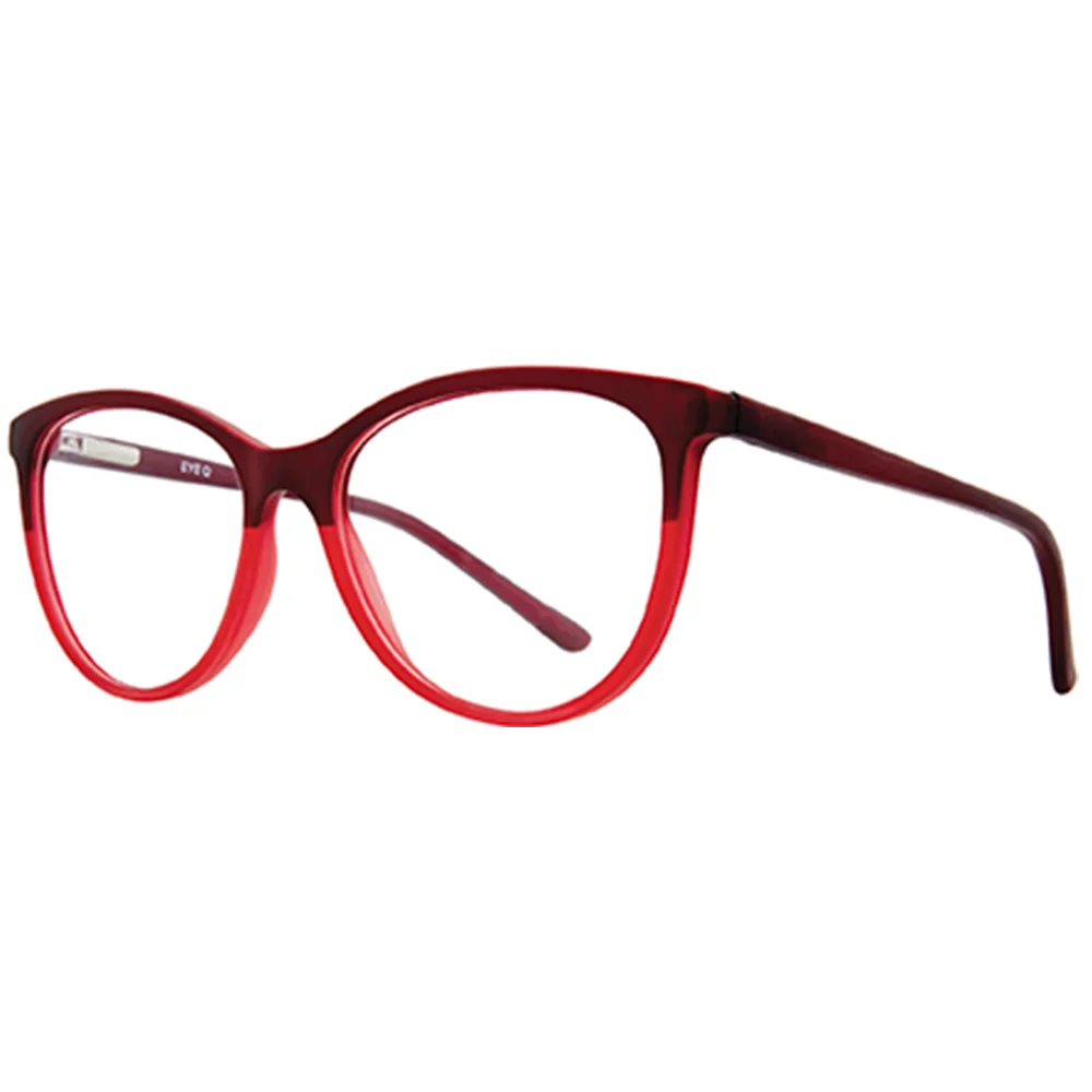 Stylewise Eyeglasses SW449