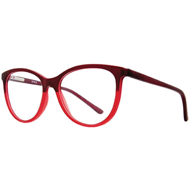 Stylewise Eyeglasses SW449