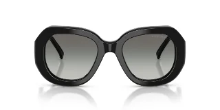 Giorgio Armani Sunglasses AR8248