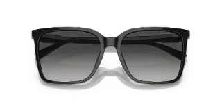 Michael Kors Sunglasses MK2197F