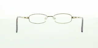 Polo Eyeglasses PP8016