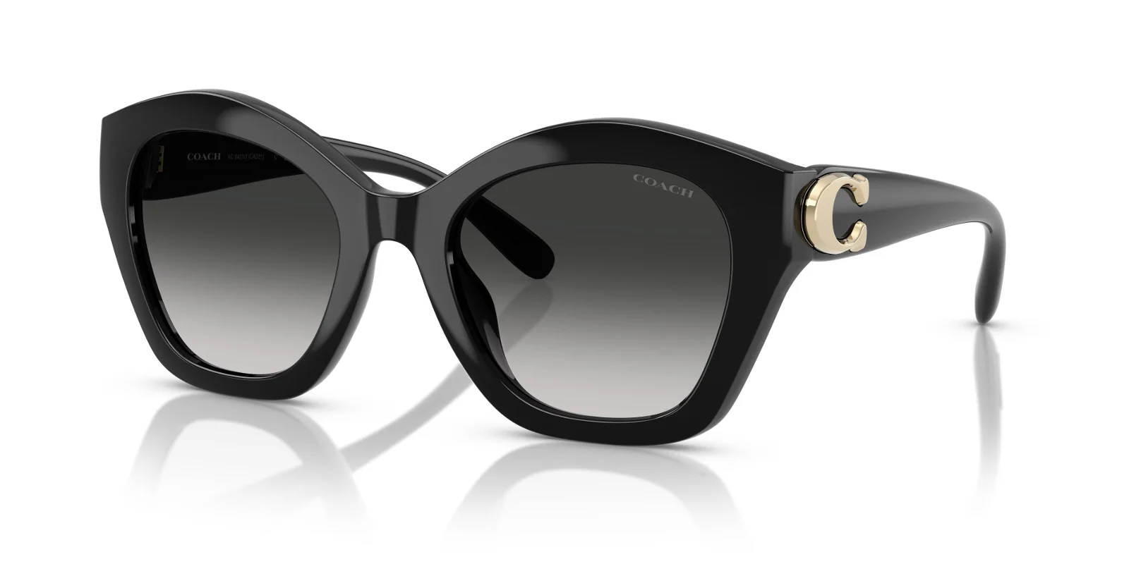 Coach Sunglasses HC8421U