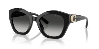 Coach Sunglasses HC8421U